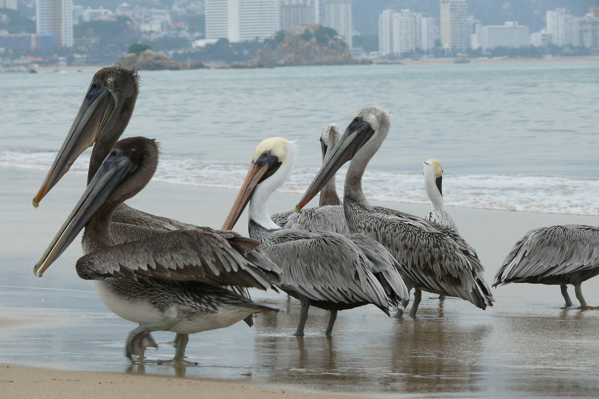 acapulco